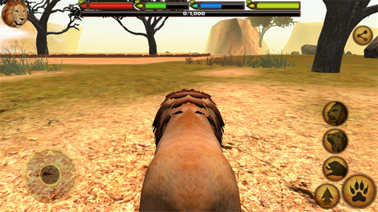 �ռ�ʨ��ģ����������2026����