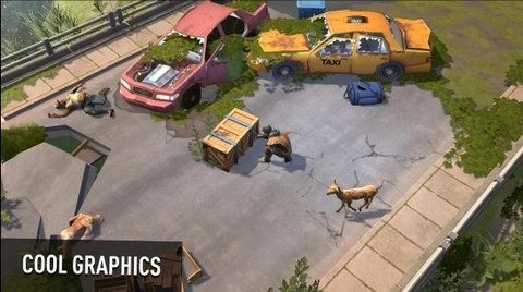 ��������İ�����